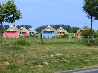 Fischland Darß