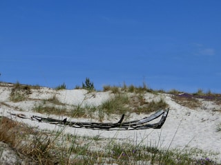 Strandpanorama