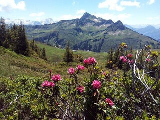 Casa per le vacanze Damüls Ambiente 19