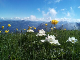 Casa per le vacanze Damüls Ambiente 18