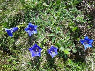 Casa per le vacanze Damüls Ambiente 15