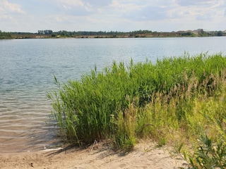 Blick über den schönen Mühlfeldsee