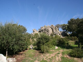 Vakantiehuis Olbia Omgeving 47