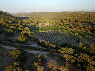 Maison de vacances Olbia Environnement 48