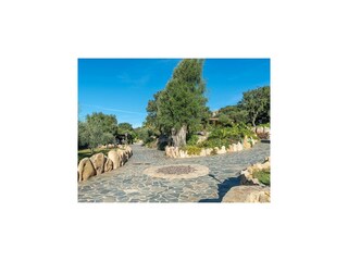Vakantiehuis Olbia Buitenaudio-opname 16