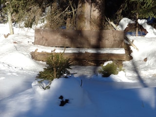 verschneiter Platz i Garten