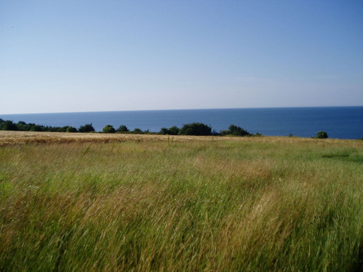 Blick auf die Ostsee