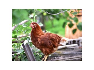 Appartamento per vacanze Goldrain Registrazione all'aperto 13