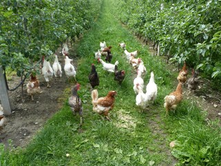 Appartamento per vacanze Goldrain Registrazione all'aperto 12