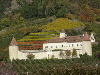 Appartamento per vacanze Goldrain Ambiente 23