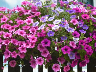 Appartamento per vacanze Goldrain Registrazione all'aperto 11