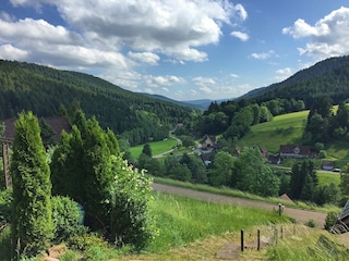 Ferienhaus Alpirsbach Außenaufnahme 5