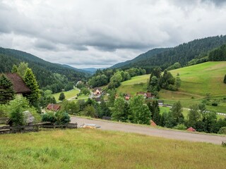 Vakantiehuis Alpirsbach Buitenaudio-opname 5