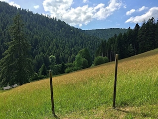 Holiday house Alpirsbach Outdoor Recording 3