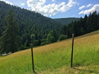 Vakantiehuis Alpirsbach Buitenaudio-opname 6