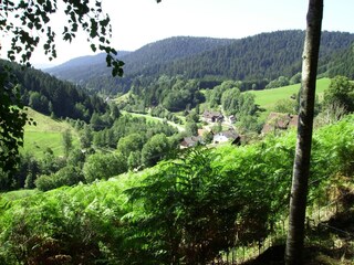 Vakantiehuis Alpirsbach Omgeving 27