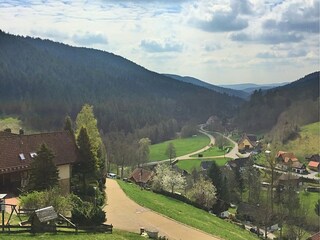 Casa per le vacanze Alpirsbach Registrazione all'aperto 13