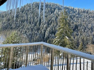 Casa de vacaciones Alpirsbach Grabación al aire libre 10