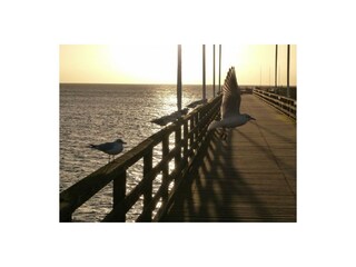 Appartamento per vacanze Großenbrode Ambiente 27