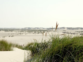 Ferienwohnung Norderney Umgebung 7