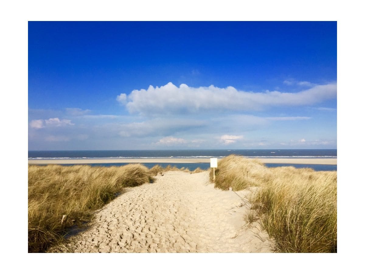 Ferienwohnung Langeoog Umgebung 17