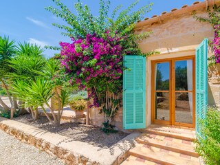 Villa Manacor Registrazione all'aperto 10