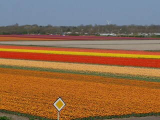 Casa per le vacanze Julianadorp Registrazione all'aperto 9