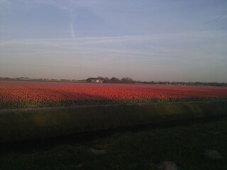 Casa per le vacanze Julianadorp Ambiente 20