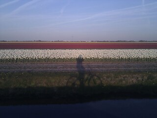 Casa per le vacanze Julianadorp Ambiente 23