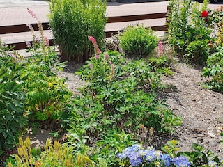 Die Gartenanlage ist noch nicht fertiggestellt