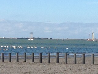 Ijsselmeer beach