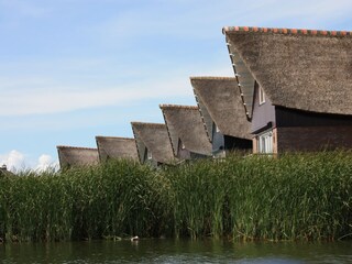 Maison de vacances Makkum Environnement 31