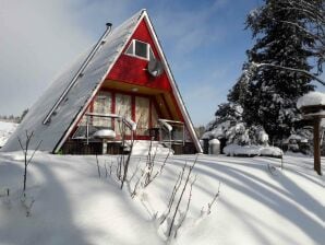 Ferienhaus Eifeler Finnhaus - Dockweiler - image1