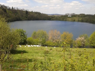 Weinfelder Maar, ein "Auge der Eifel"