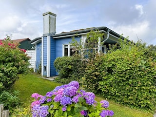 Blaues Häuschen am Meer mit Garten