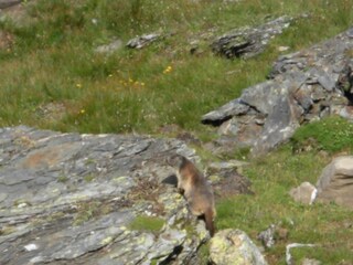 Appartamento per vacanze Rauris Ambiente 23