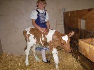 Appartamento per vacanze Rauris Ambiente 26