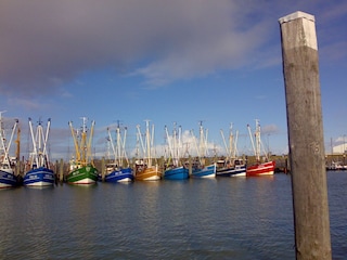 Fischereihafen in Norddeich