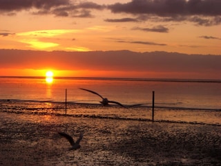 Abendstimmung am Wattenmeer