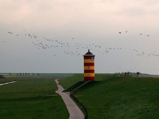 Der Pilsumer  (Otto)-Leuchtturm