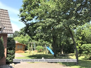 schöner alter Baumbestand im hinteren Bereich