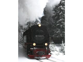 Casa per le vacanze Schierke Ambiente 19