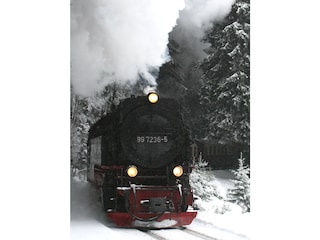 Mit der Dampflok auf den Brocken... ein Erlebnis