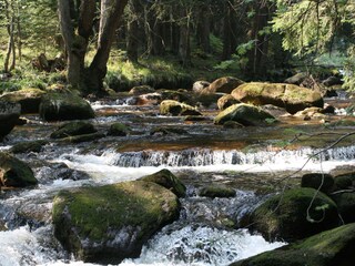 Casa de vacaciones Schierke Entorno 20