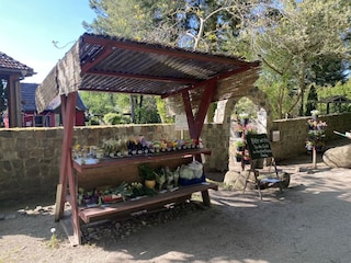 Gärtnerei Wimmer