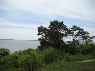 Schöner Blick vom Wald aufs Meer