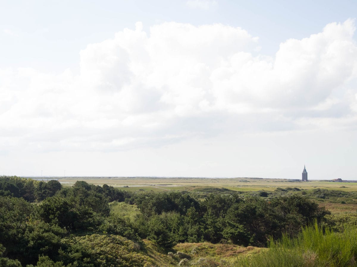 Schöne Aussicht!