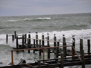 Rügen