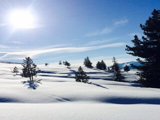 Appartamento per vacanze Hochkrimml Ambiente 27