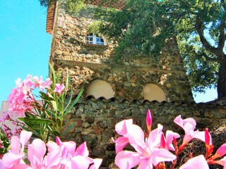 Appartamento per vacanze Le Plan-de-la-Tour Registrazione all'aperto 9